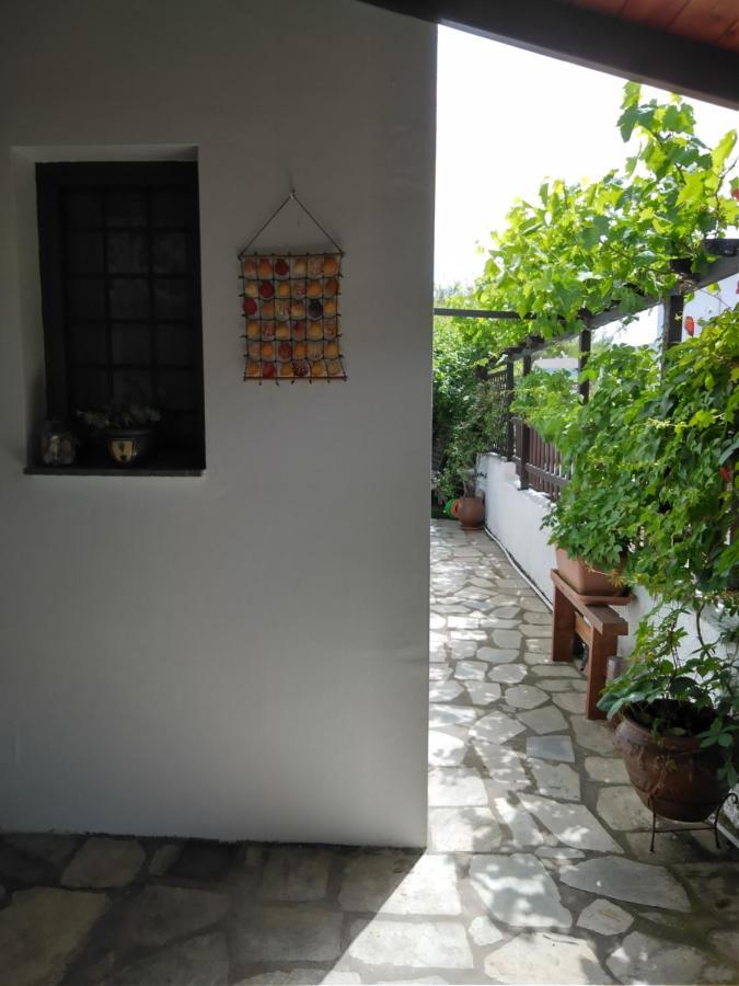 Starfish Koropi Pelion Milies South Pelion Exterior foto
