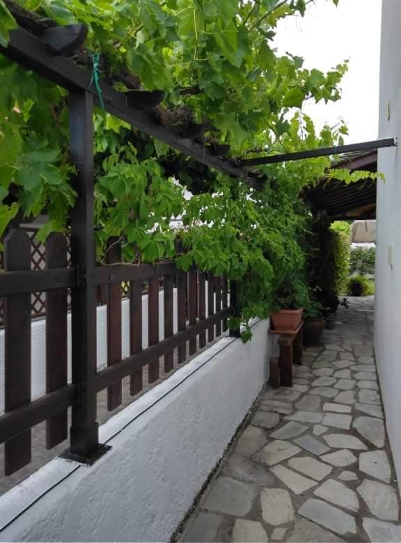 Starfish Koropi Pelion Milies South Pelion Exterior foto
